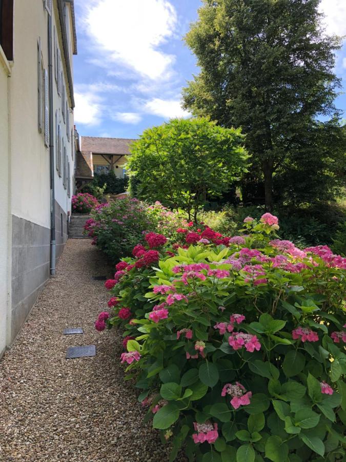 Chateau Saint Claude An Der Saone Mantoche 외부 사진